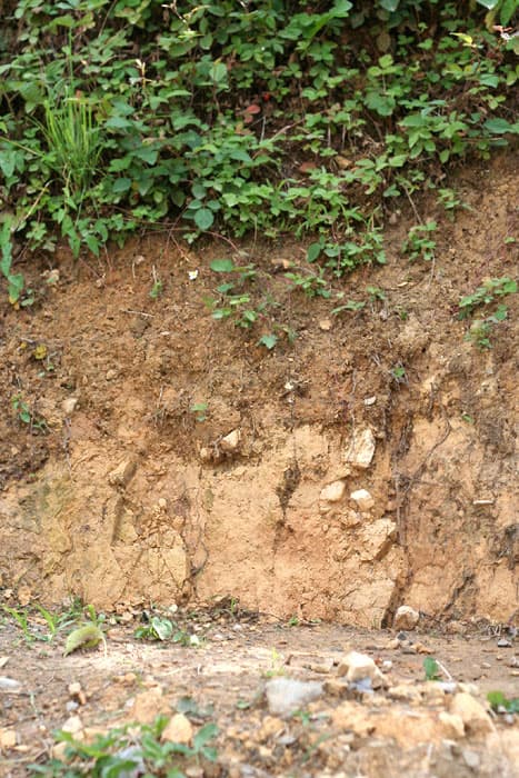 An example of clay soil.