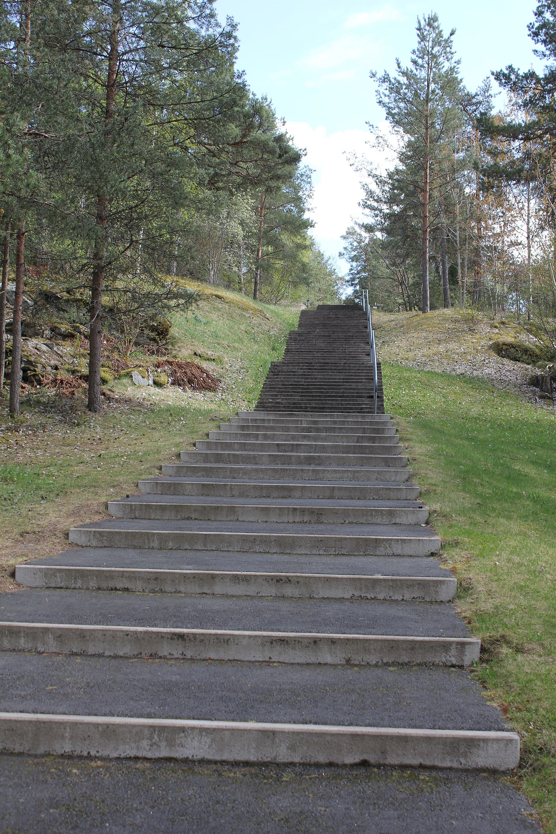 Concrete stairs rising through a wooded site